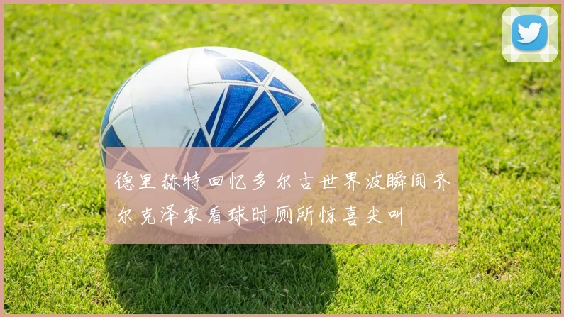 德里赫特回忆多尔古世界波瞬间齐尔克泽家看球时厕所惊喜尖叫
