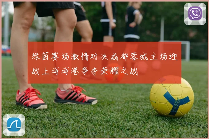 绿茵赛场激情对决成都蓉城主场迎战上海海港争夺荣耀之战