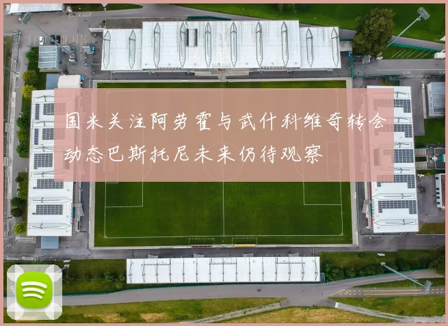 国米关注阿劳霍与武什科维奇转会动态巴斯托尼未来仍待观察